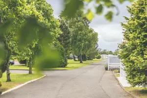 Trees at Viewfield Manor Leisure Park
