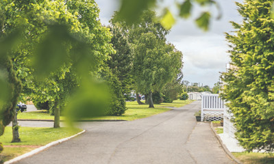 Trees at Viewfield Manor Leisure Park