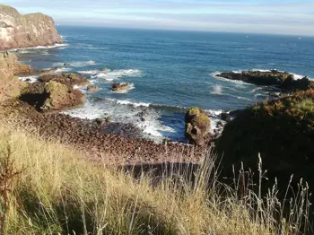 Berwickshire coastline