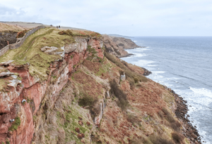 Cliffs on Berwickshire coastal path