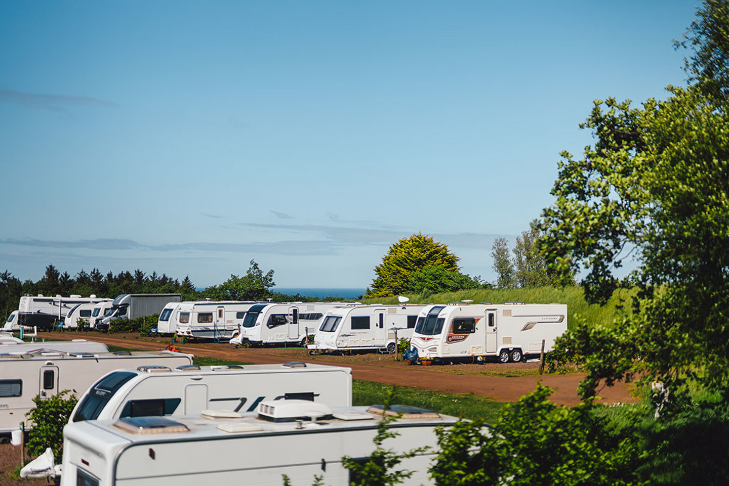 Touring caravans and motorhomes parked on pitches surrounded by green trees. Blue sea and sky in the background. 