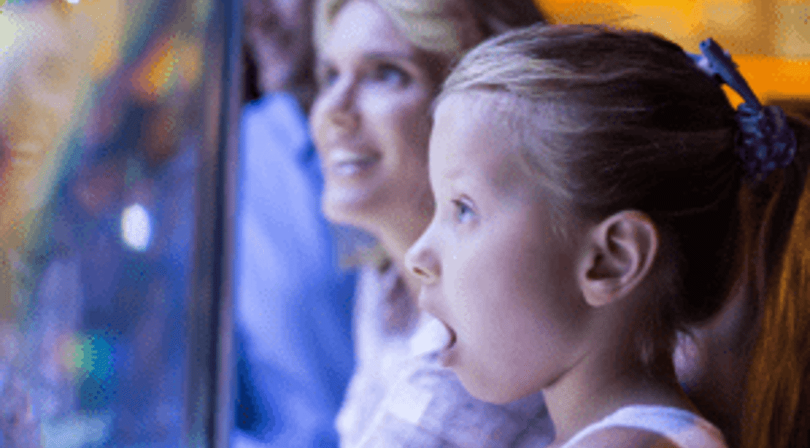 Children at Ilfracombe aquarium 