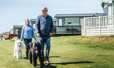 Couple walking their dog on holiday