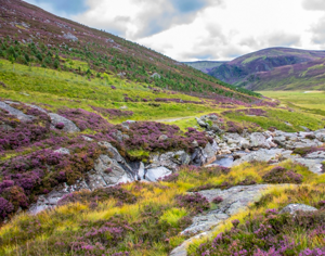 Cairngorms National Park