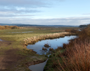 Caerlaverock National Nature Reserve