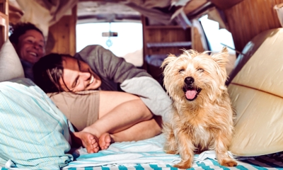 A couple relaxing on pillows and blankets with a dog in their converted touring van, they have a surf board next to them
