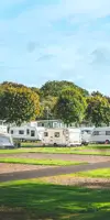 Touring vans and motorhomes in a grassy field with trees 