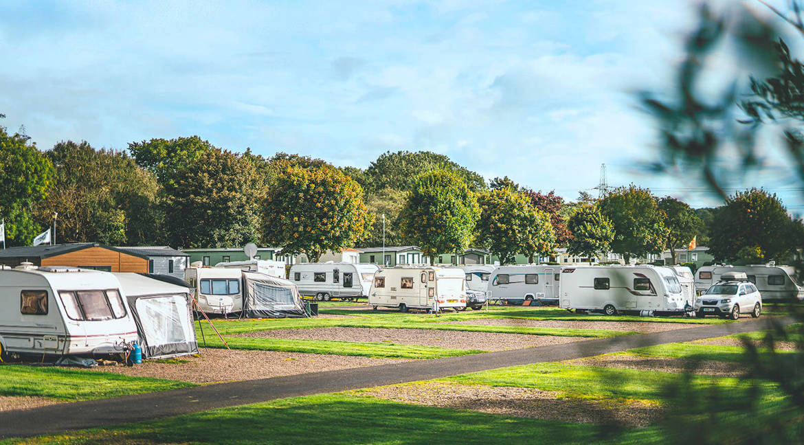 Touring vans and motorhomes in a grassy field with trees 