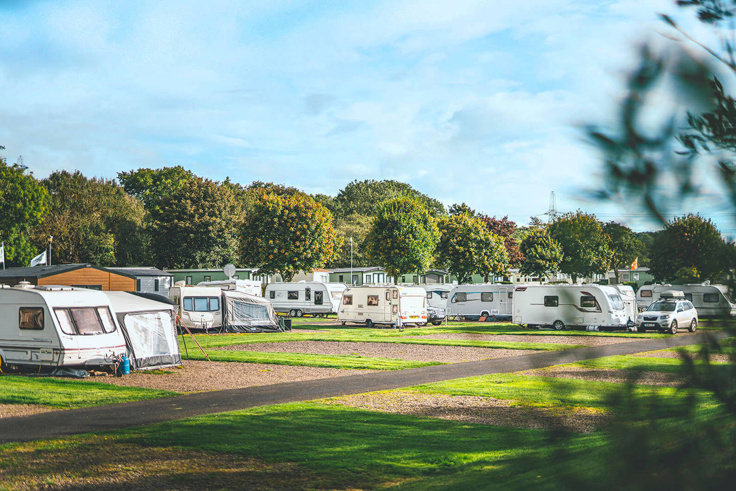 Touring vans and motorhomes in a grassy field with trees 