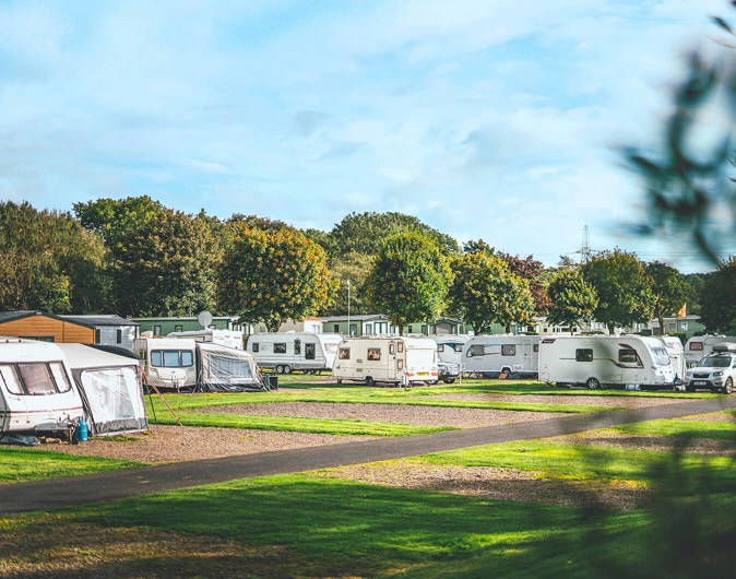 Touring vans and motorhomes in a grassy field with trees