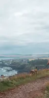 Couple walking along Berwickshire coastline