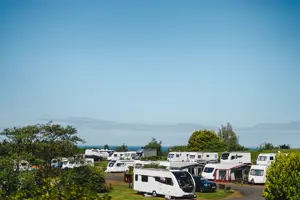 Motorhomes and touring vans on touring pitches at a holiday park with green trees, a blue sky, and the sea on the horizon 