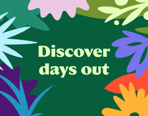 Something for everyone