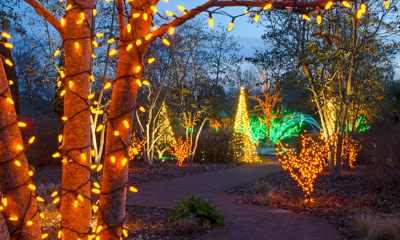 Lights wrapped around trees around a footpath for festive breaks