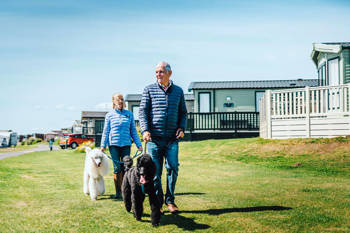 New ownership offers