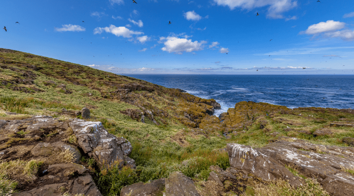 Isle of May Coastline