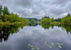 Galloway Forest Park