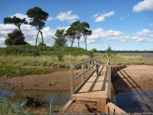 Walks in East Lothian