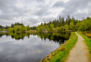 Galloway Forest Park