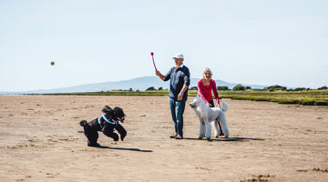 Pet Friendly Holidays