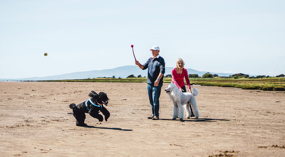 Pet Friendly Holidays