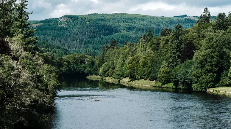 The River Tay
