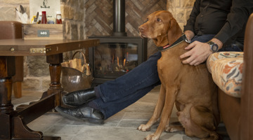 Dog in The Canny Owl