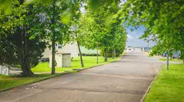 Trees and caravans at Viewfield Manor Leisure Park 