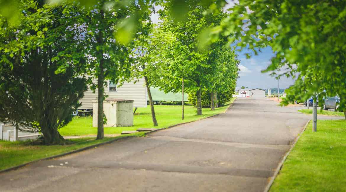 Trees and caravans at Viewfield Manor Leisure Park 