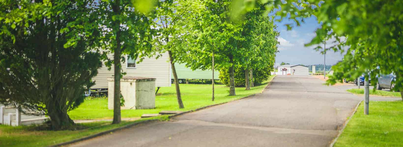 Trees and caravans at Viewfield Manor Leisure Park