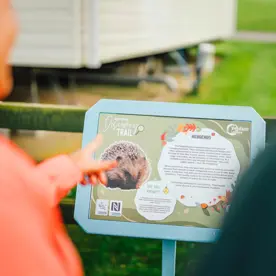 Queensberry Bay Discovery Trail